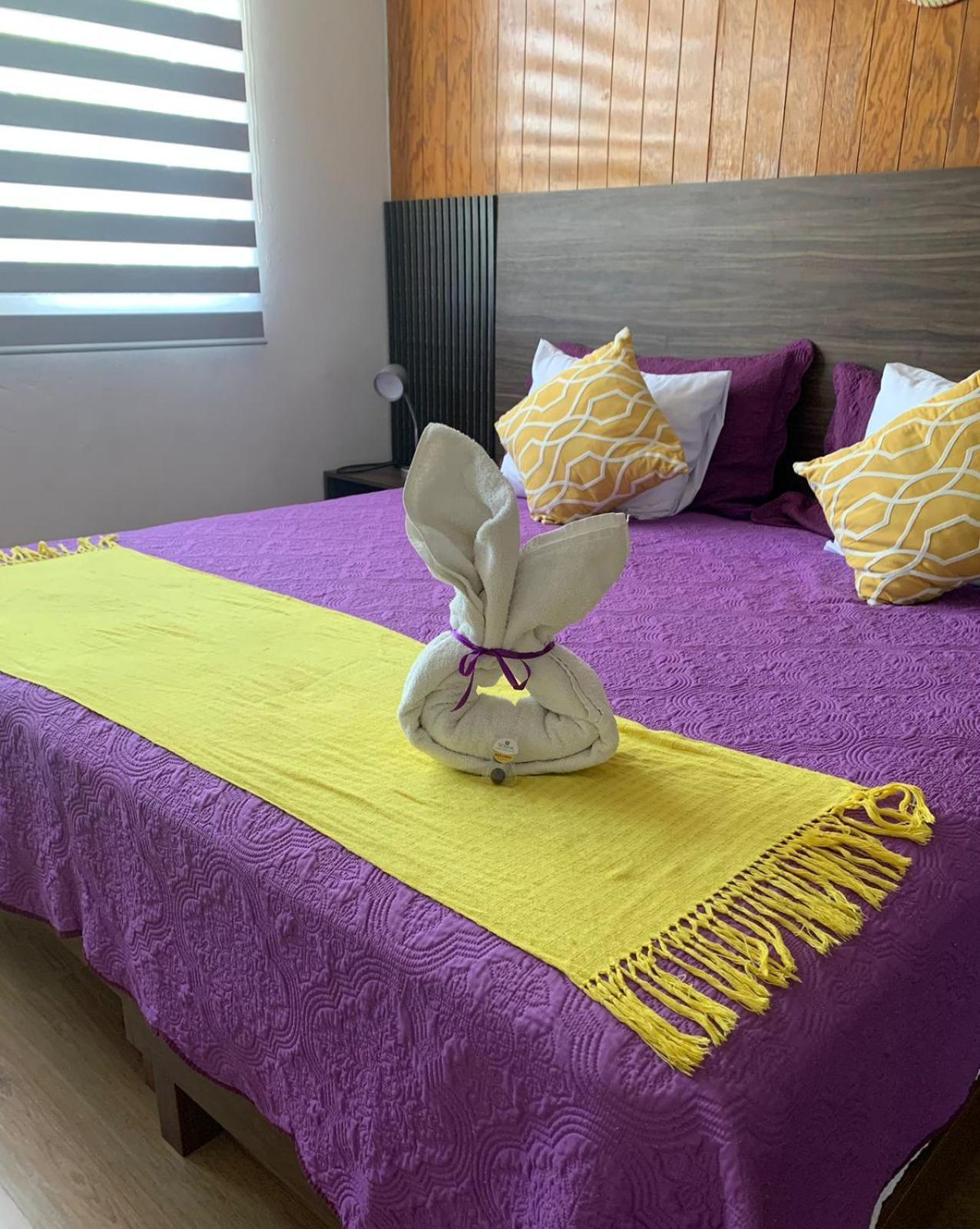 Pino Apartment Oaxaca Luaran gambar